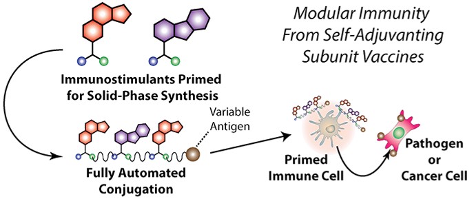 AAI Mechanism