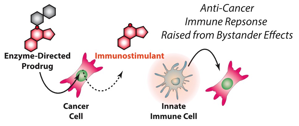 BAIT Mechanism of Action