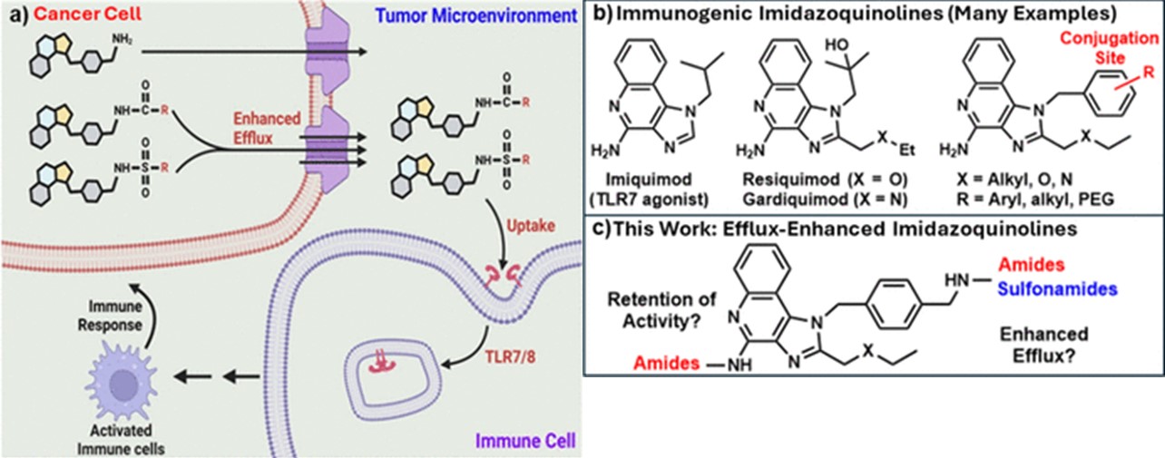 Efflux-Optimized Mechanism