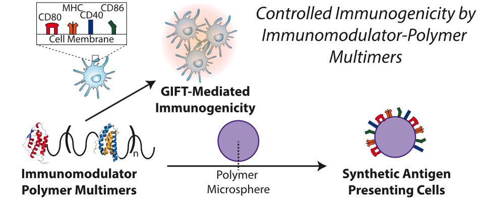 GIFT and Synapse Mechanism
